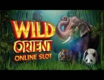 Wild Orient المشرق البري Slot - Photo